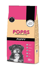 popas puppy